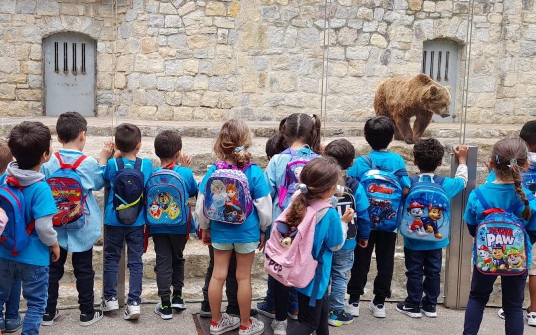 Passeio ao Jardim Zoológico