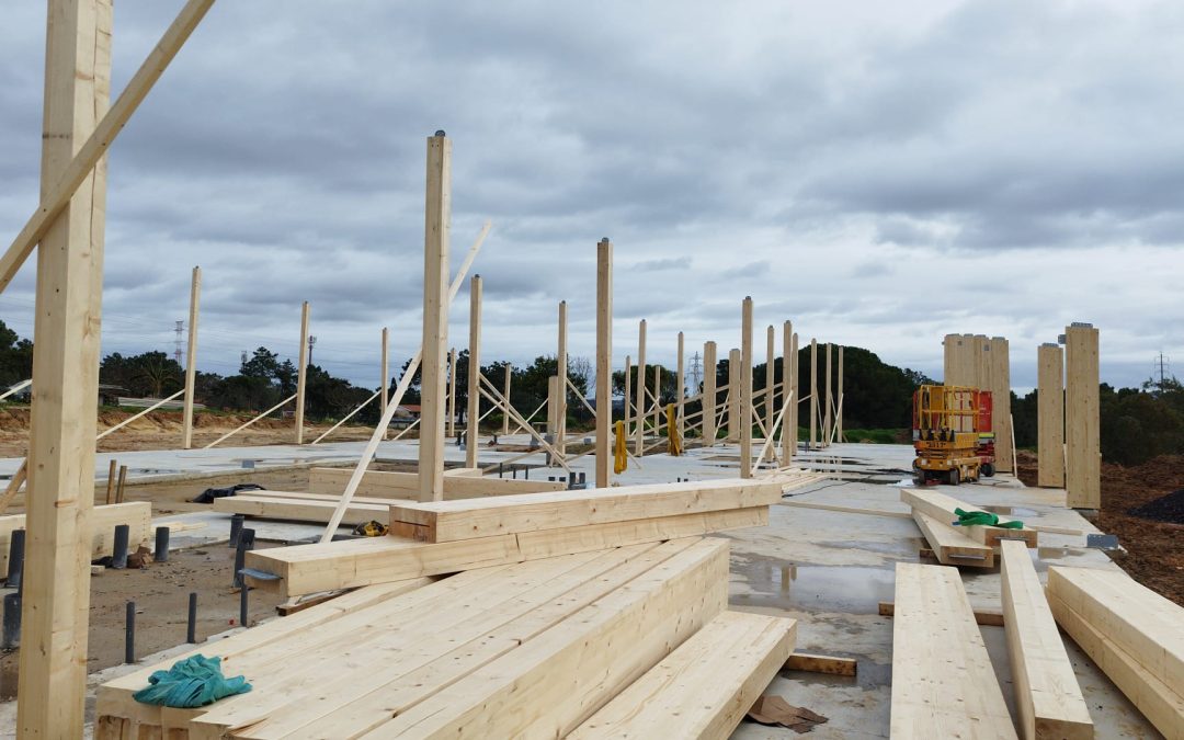 Desenvolvimento das Obras nas Creches de Pinhal de Frades e Torre da Marinha