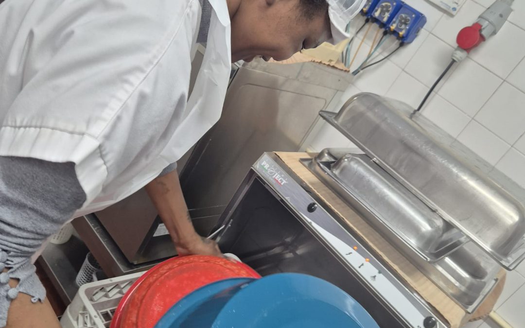 Beneficiários em funções no CPBESA no âmbito do Programa MAIS em parceria com o IEFP